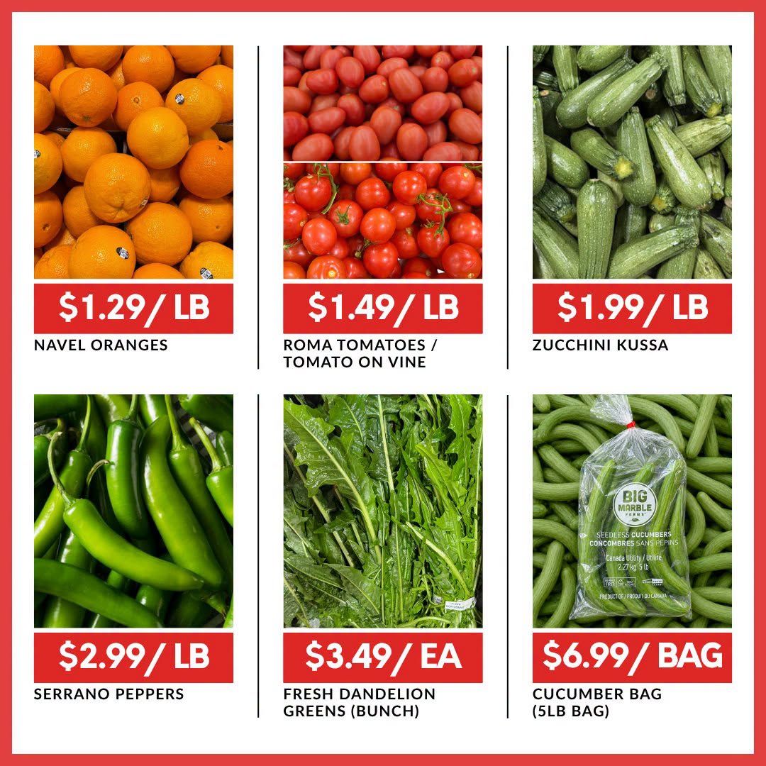 Basha Foods International Flyer June 18 to 24