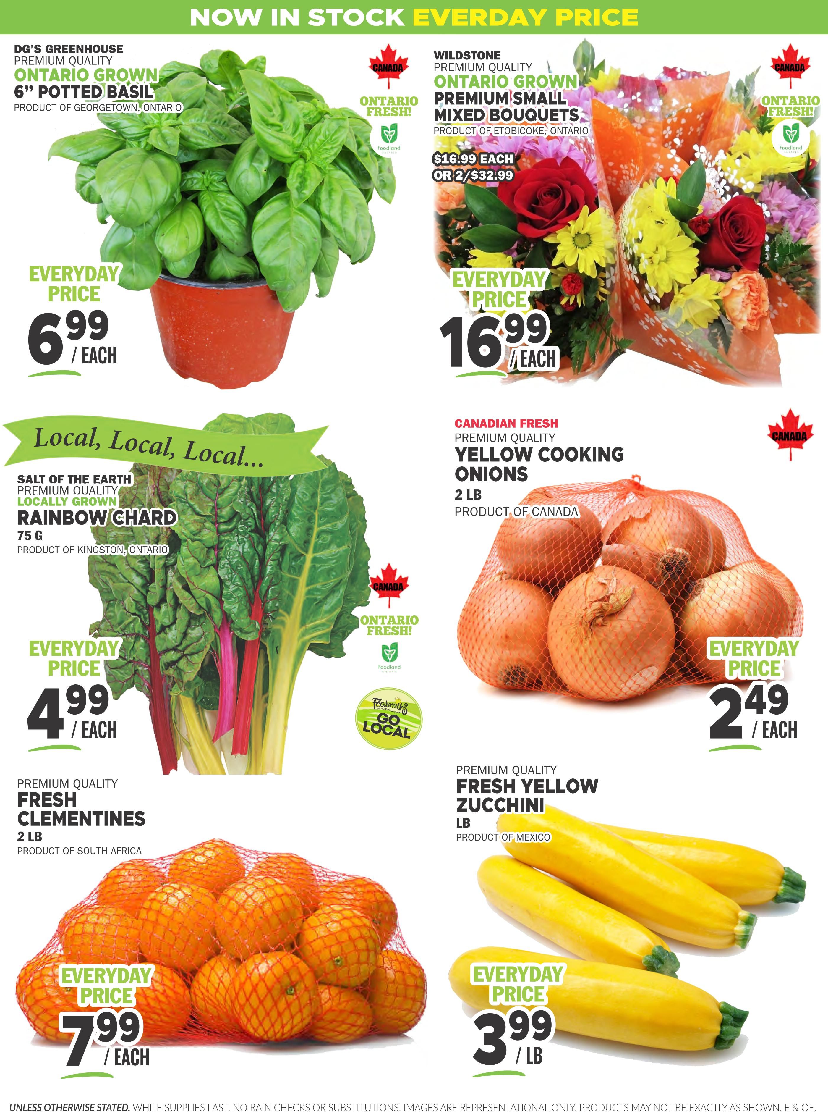 Foodsmiths Flyer June 18 to 25