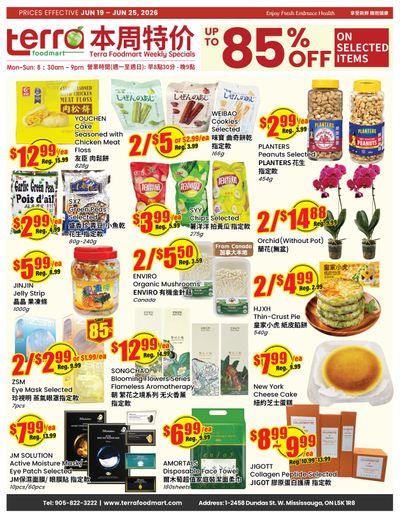 Terra Foodmart Flyer June 19 to 25