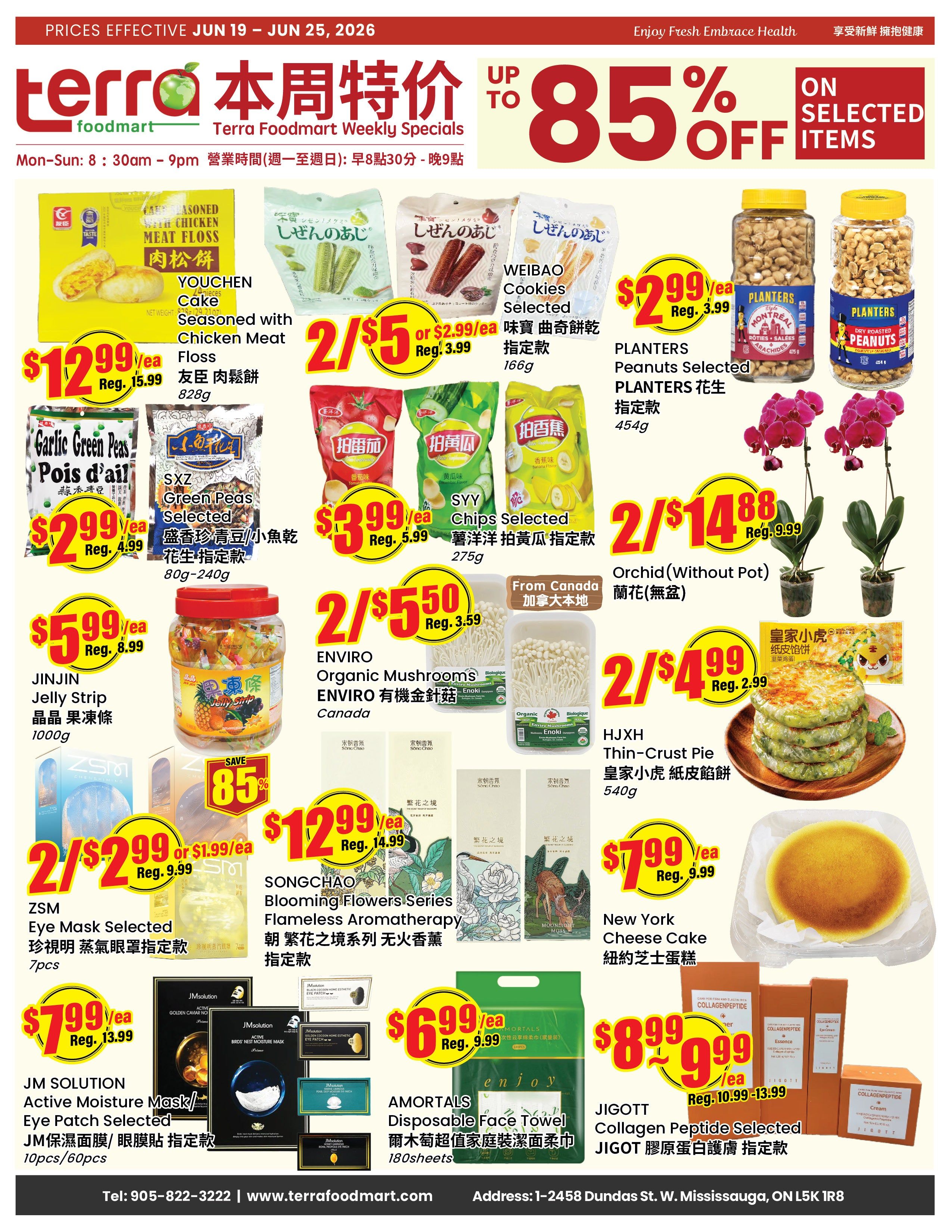 Terra Foodmart Flyer June 19 to 25