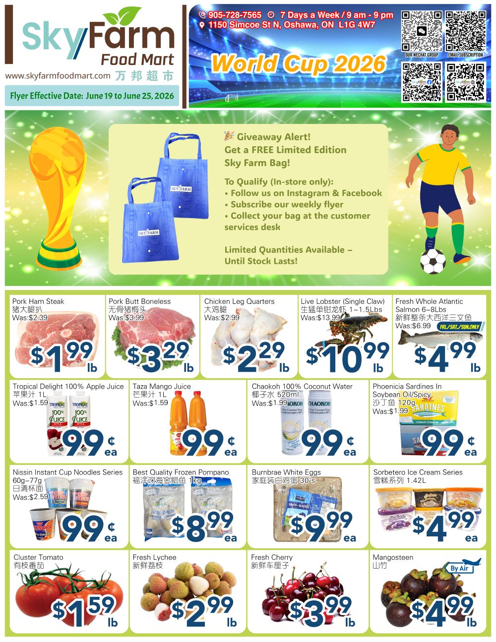 SkyFarm Food Mart Flyer June 19 to 25