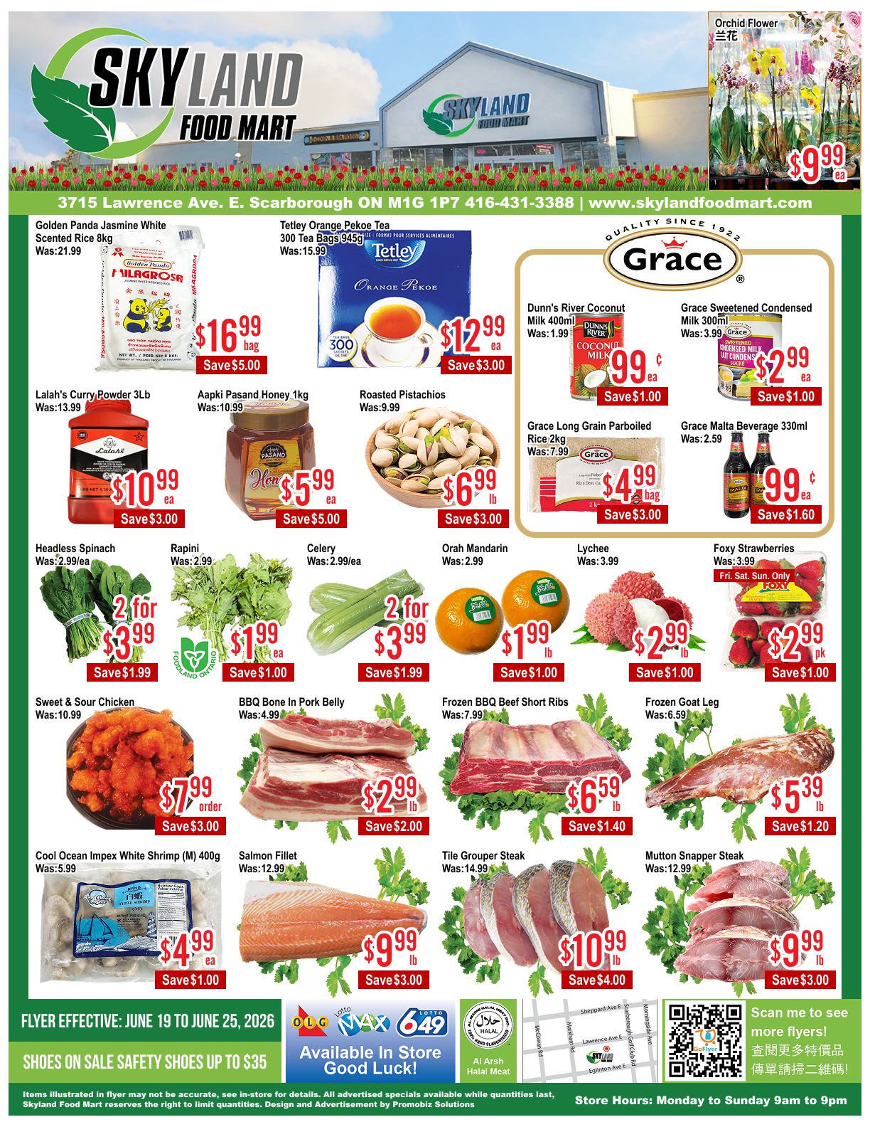 Skyland Food Mart Flyer June 19 to 25