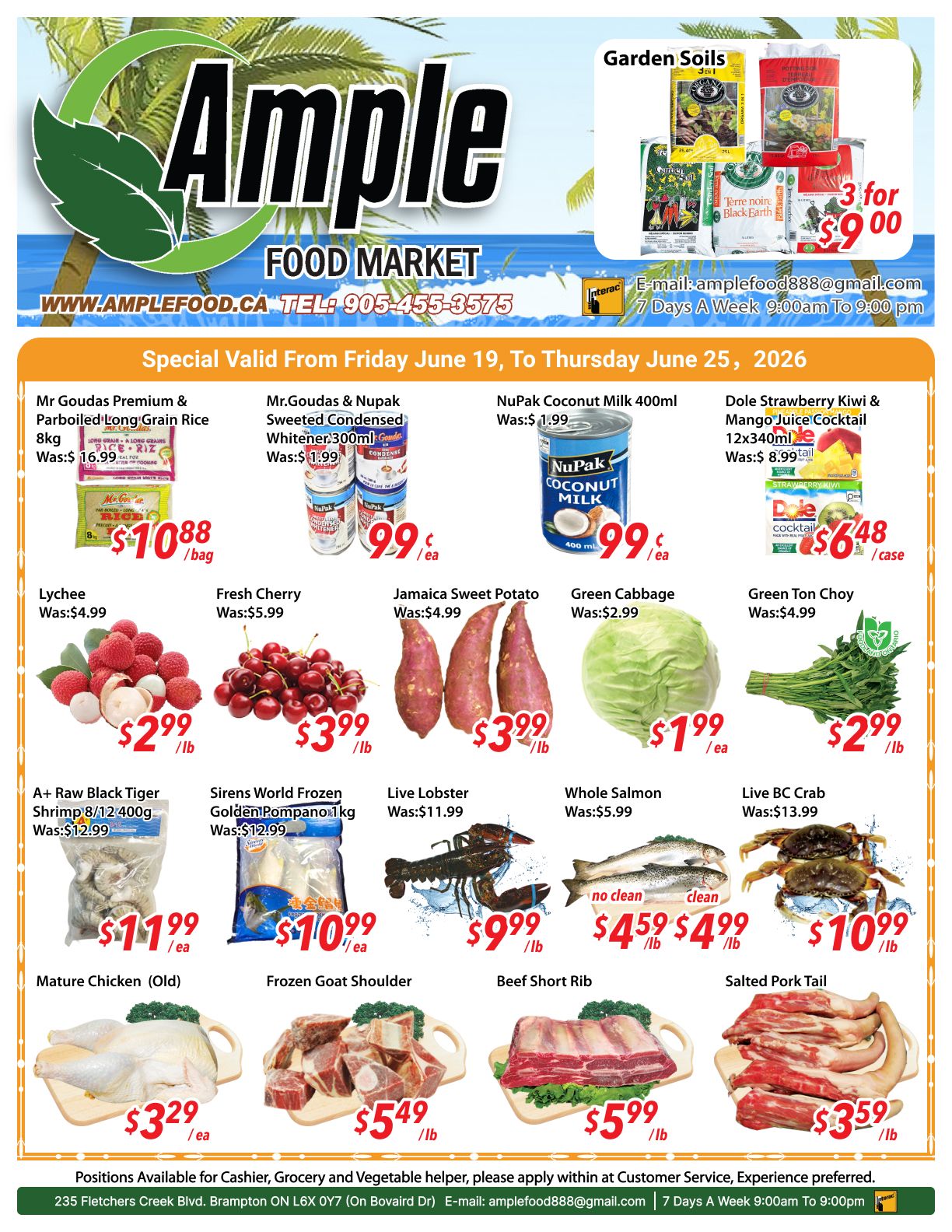 Ample Food Market (Brampton) Flyer June 19 to 25