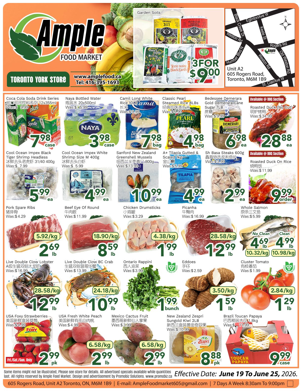 Ample Food Market (North York) Flyer June 19 to 25
