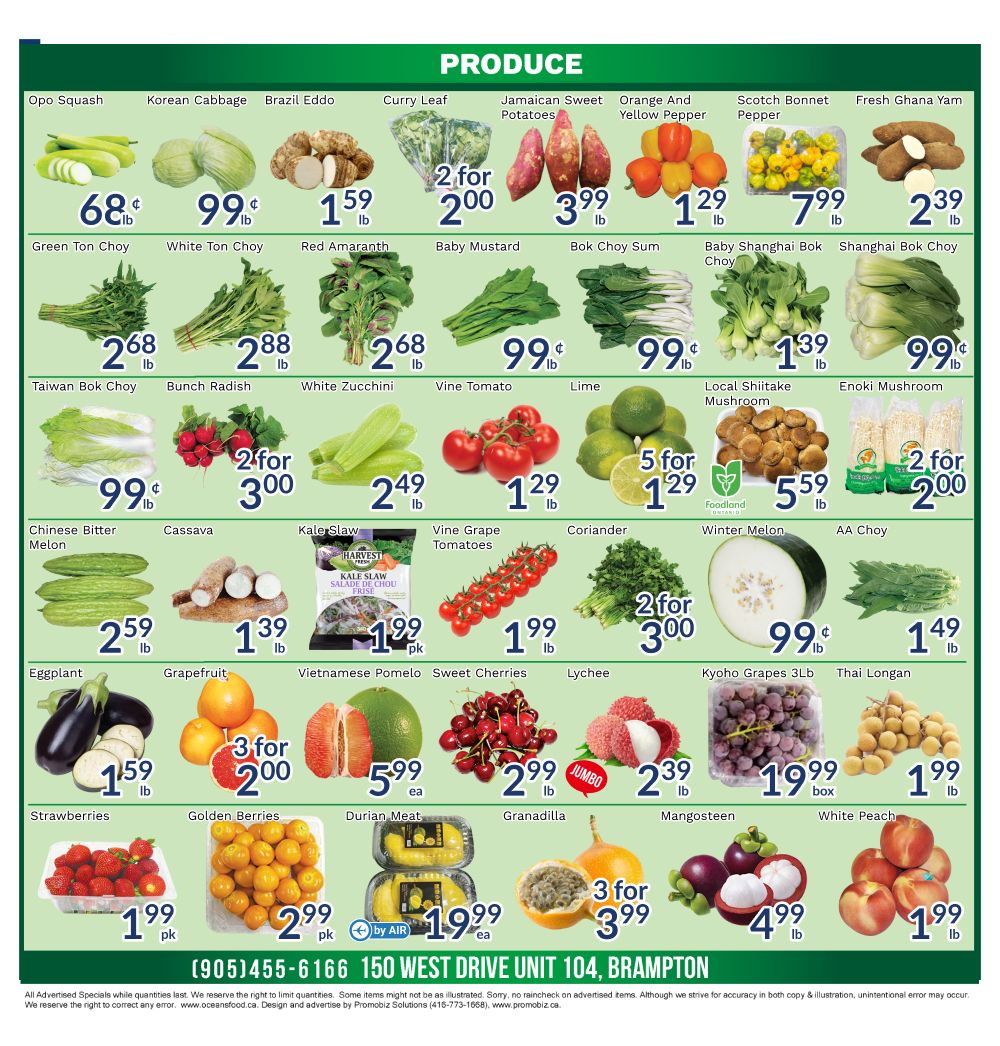 Oceans Fresh Food Market (Brampton) Flyer June 19 to 25