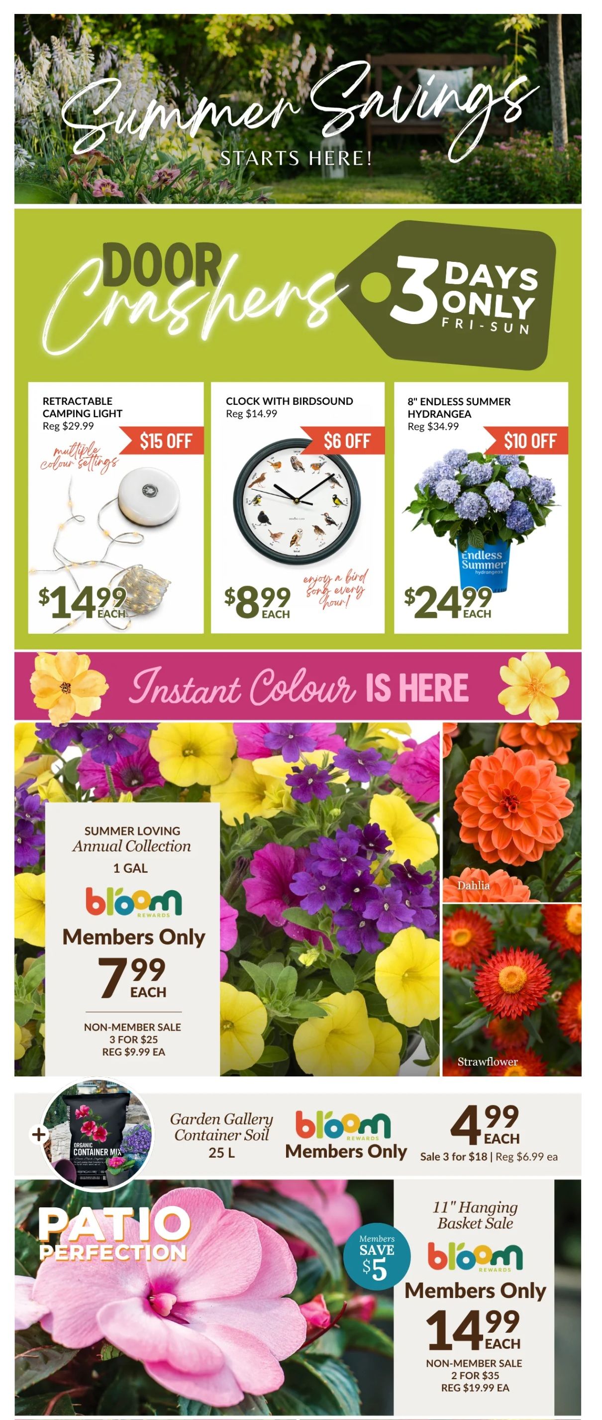 Lakeside Garden Gallery Flyer June 19 to 25