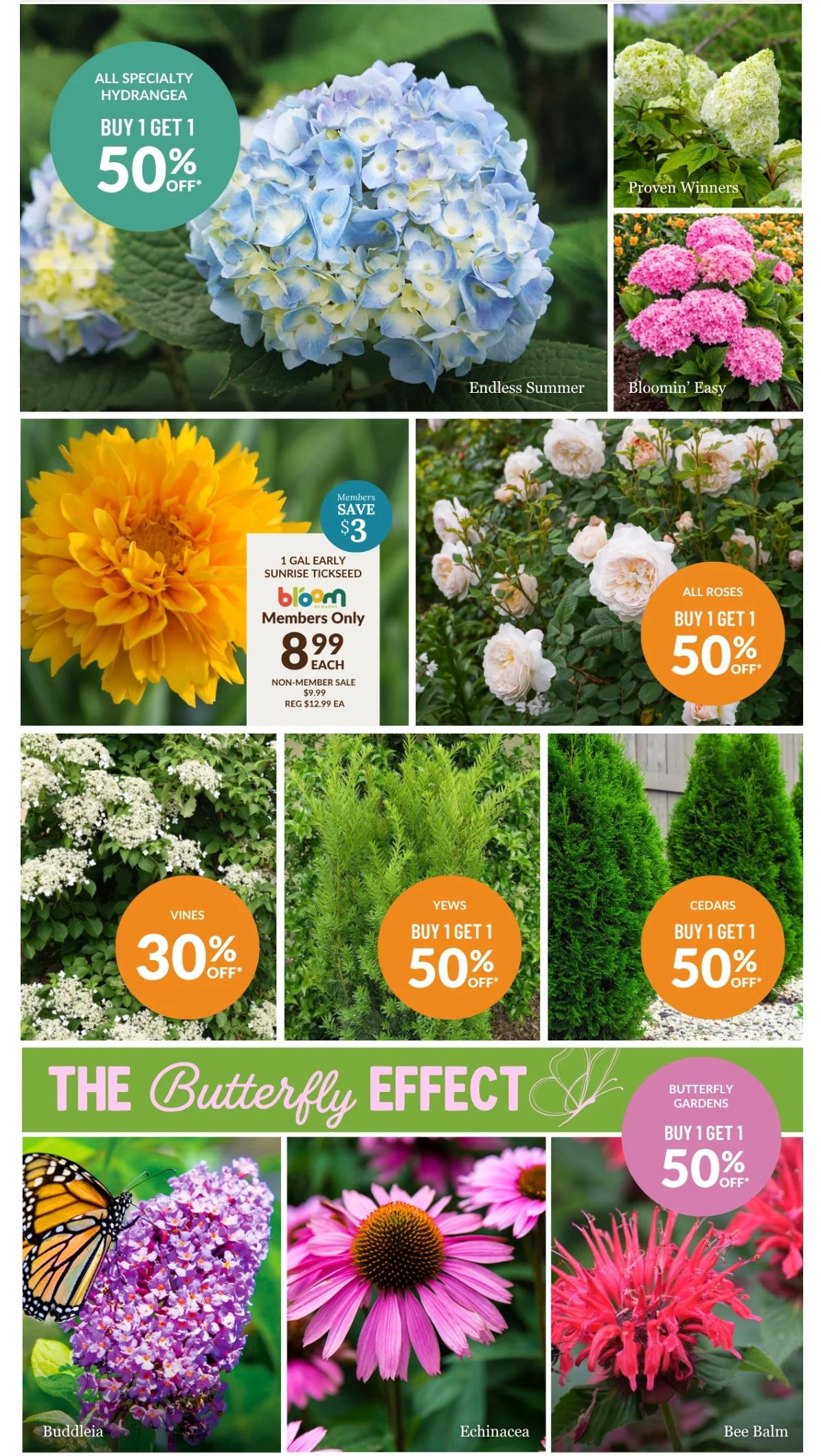 Lakeside Garden Gallery Flyer June 19 to 25