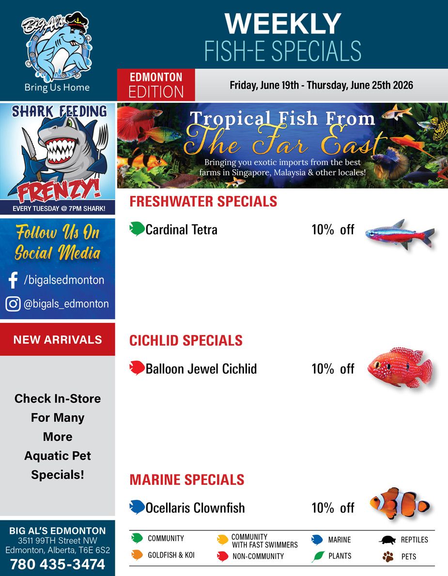 Big Al's (Edmonton) Weekly Specials June 19 to 25