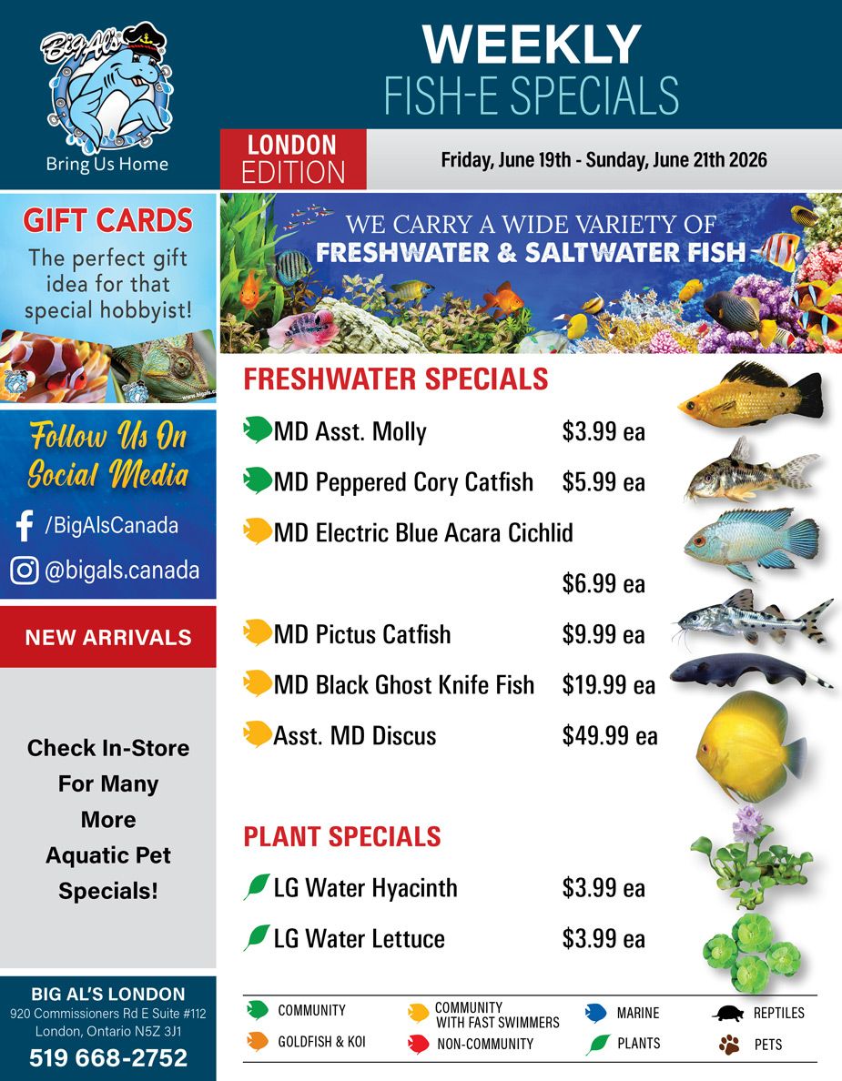 Big Al's (London) Weekend Specials June 19 to 21
