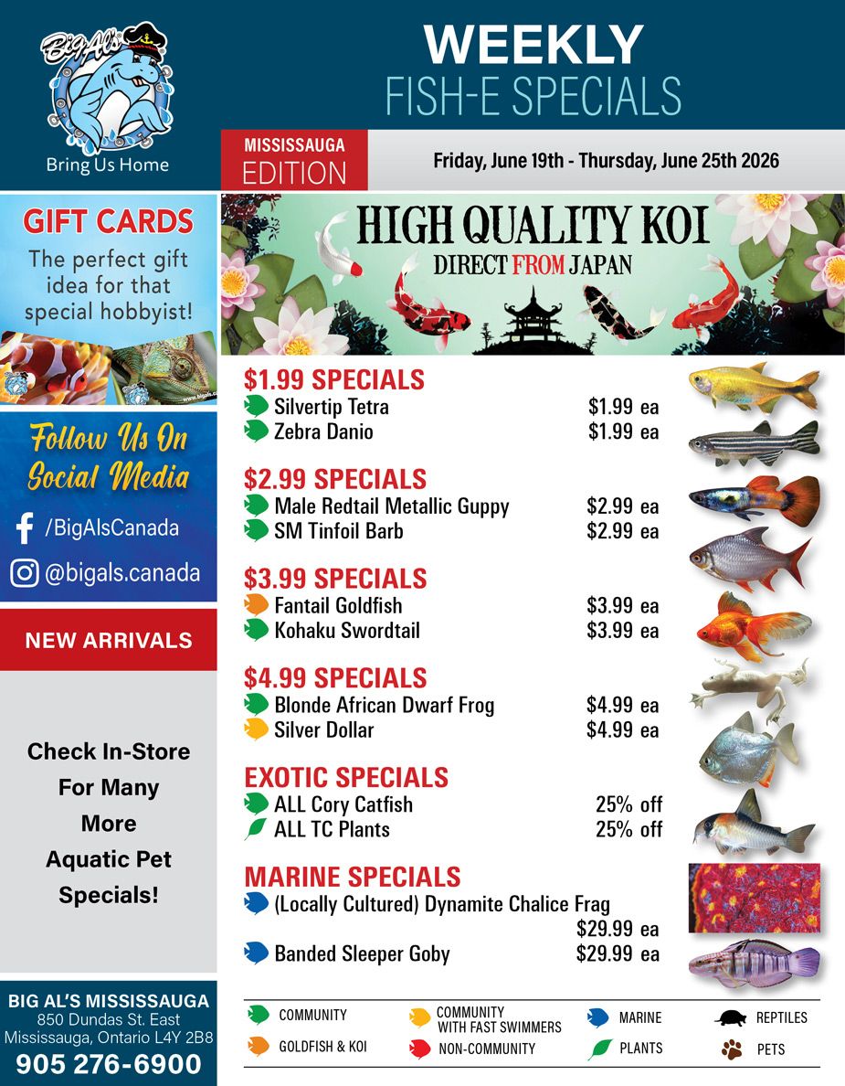 Big Al's (Mississauga) Weekly Specials June 19 to 25