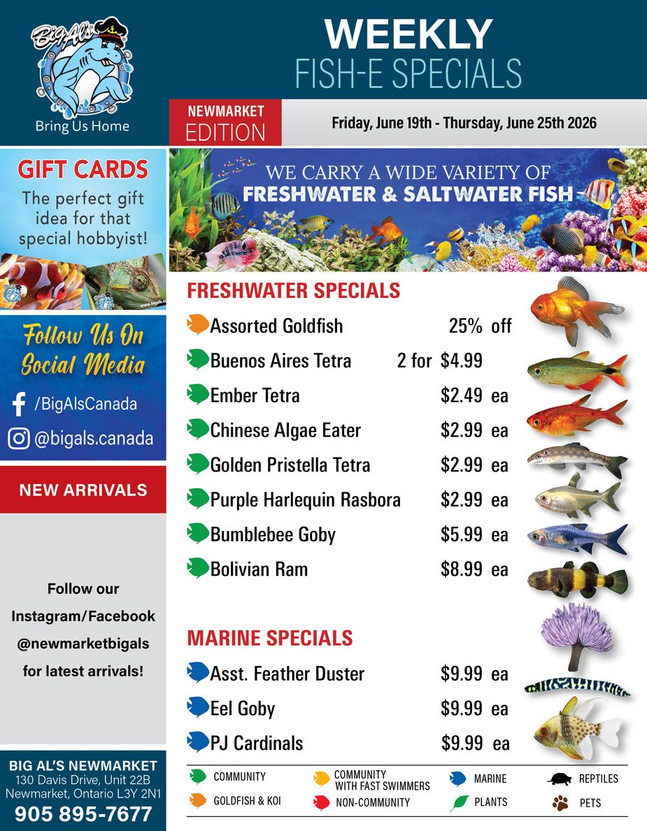 Big Al's (Newmarket) Weekly Specials June 19 to 25