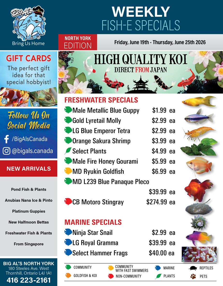 Big Al's (North York) Weekly Specials June 19 to 25