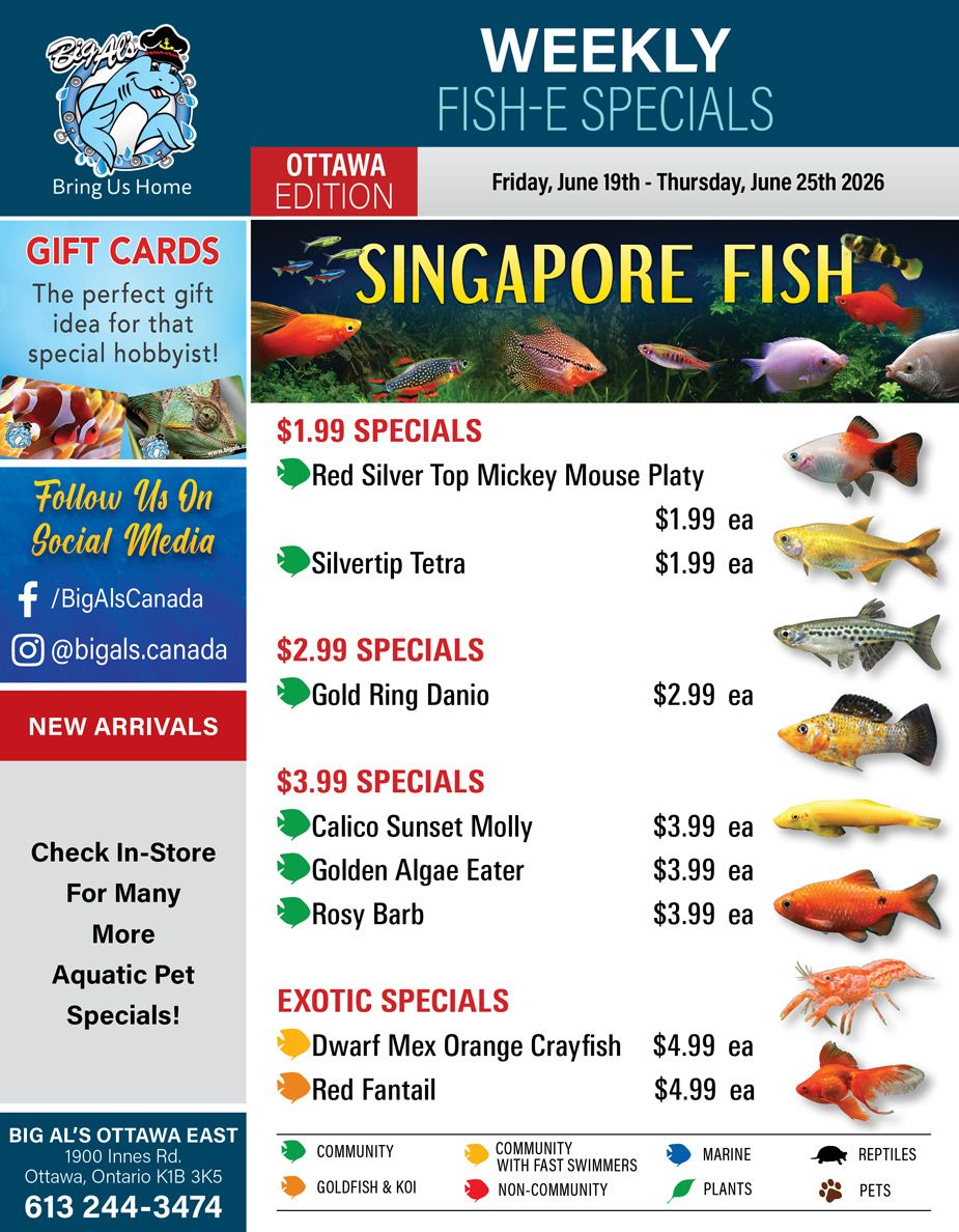 Big Al's (Ottawa) Weekly Specials June 19 to 25