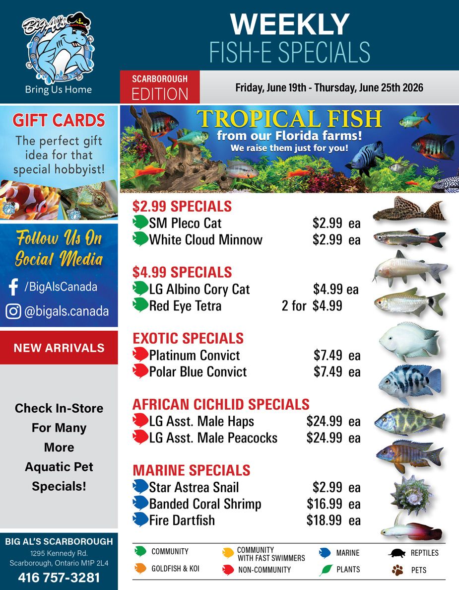 Big Al's (Scarborough) Weekly Specials June 19 to 25