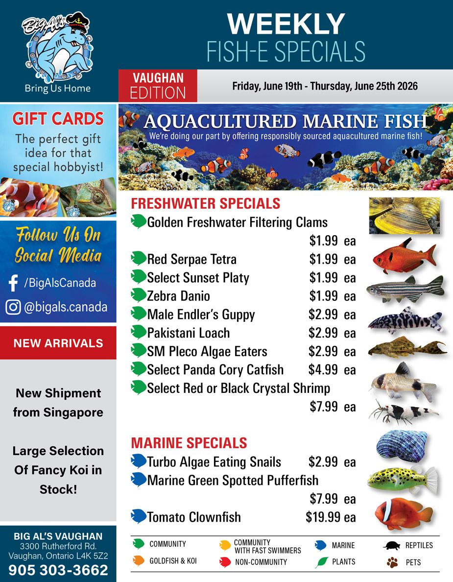 Big Al's (Vaughan) Weekly Specials June 19 to 25