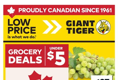 Giant Tiger (ON) Flyer June 24 to 30