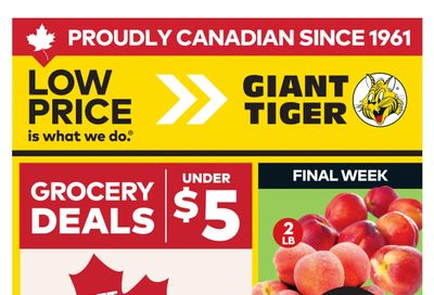 Giant Tiger (West) Flyer June 24 to 30