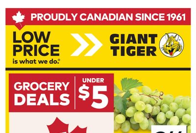 Giant Tiger (Atlantic) Flyer June 24 to 30