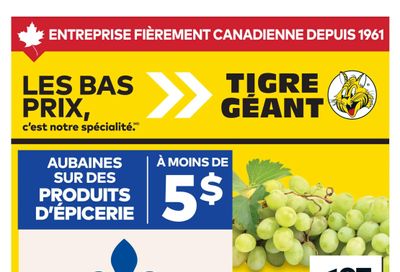 Tigre Géant Flyer June 24 to 30