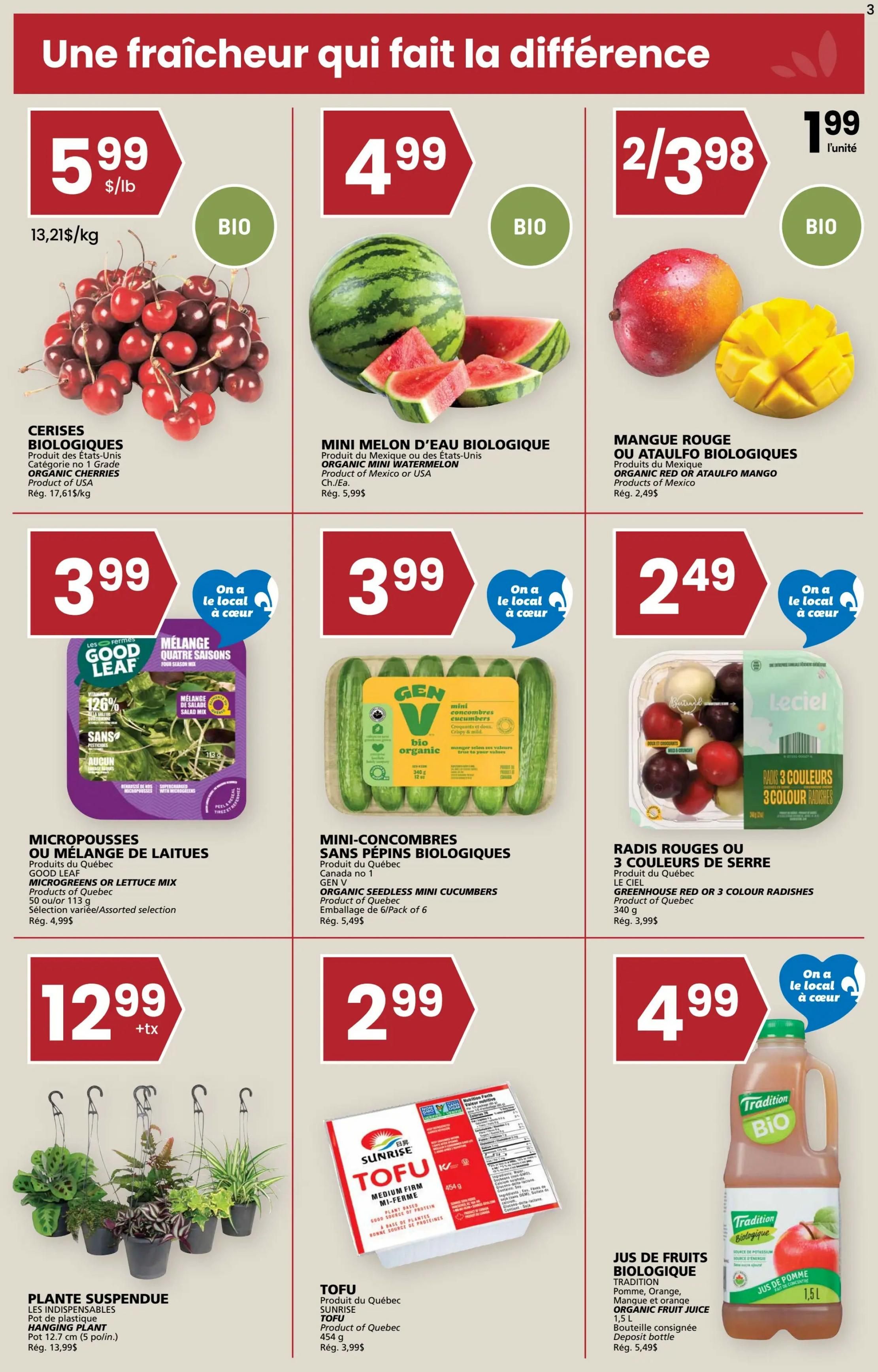 Rachelle Bery Grocery Flyer June 25 to July 1