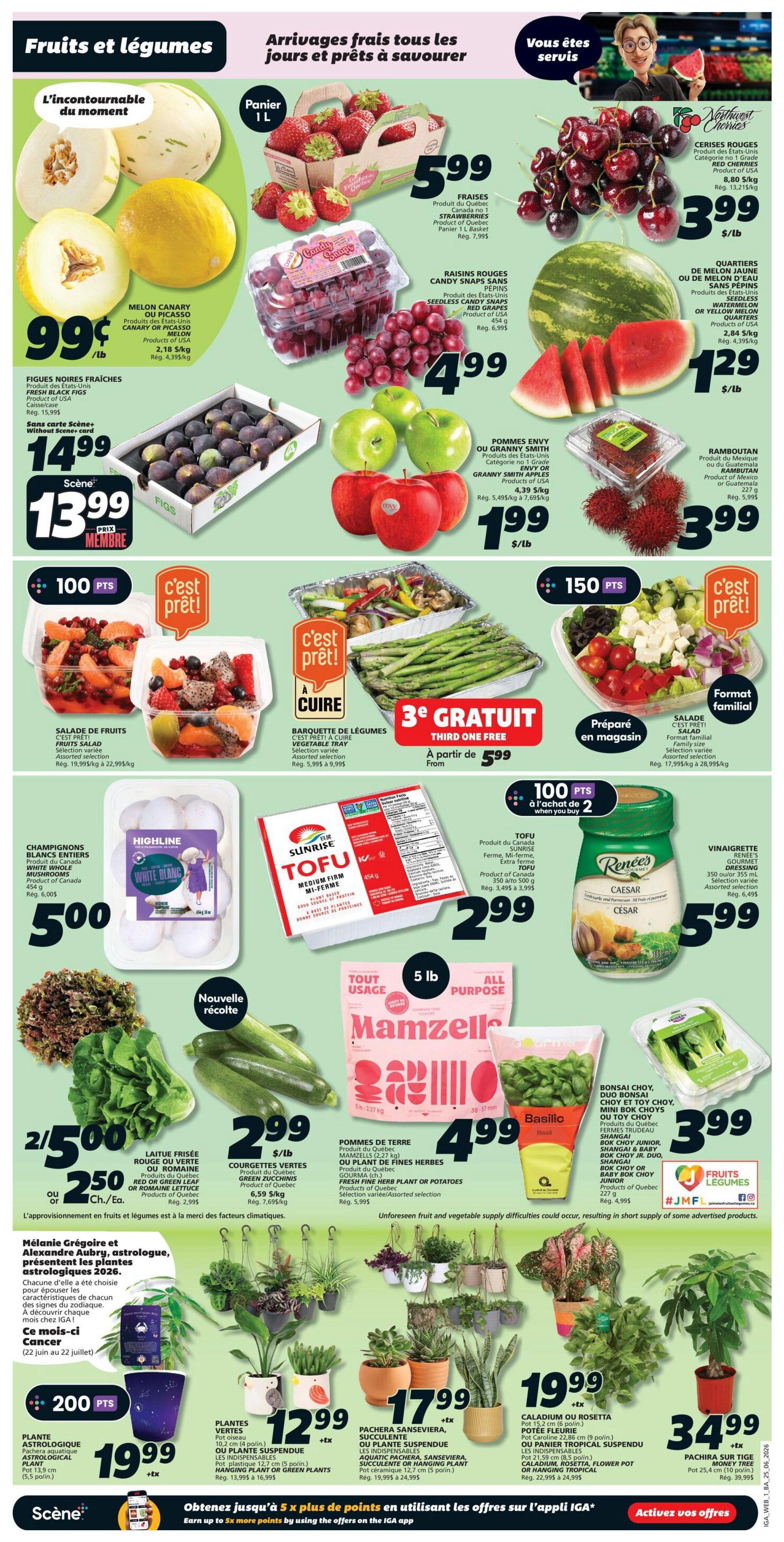 IGA (NB) Flyer June 25 to July 1
