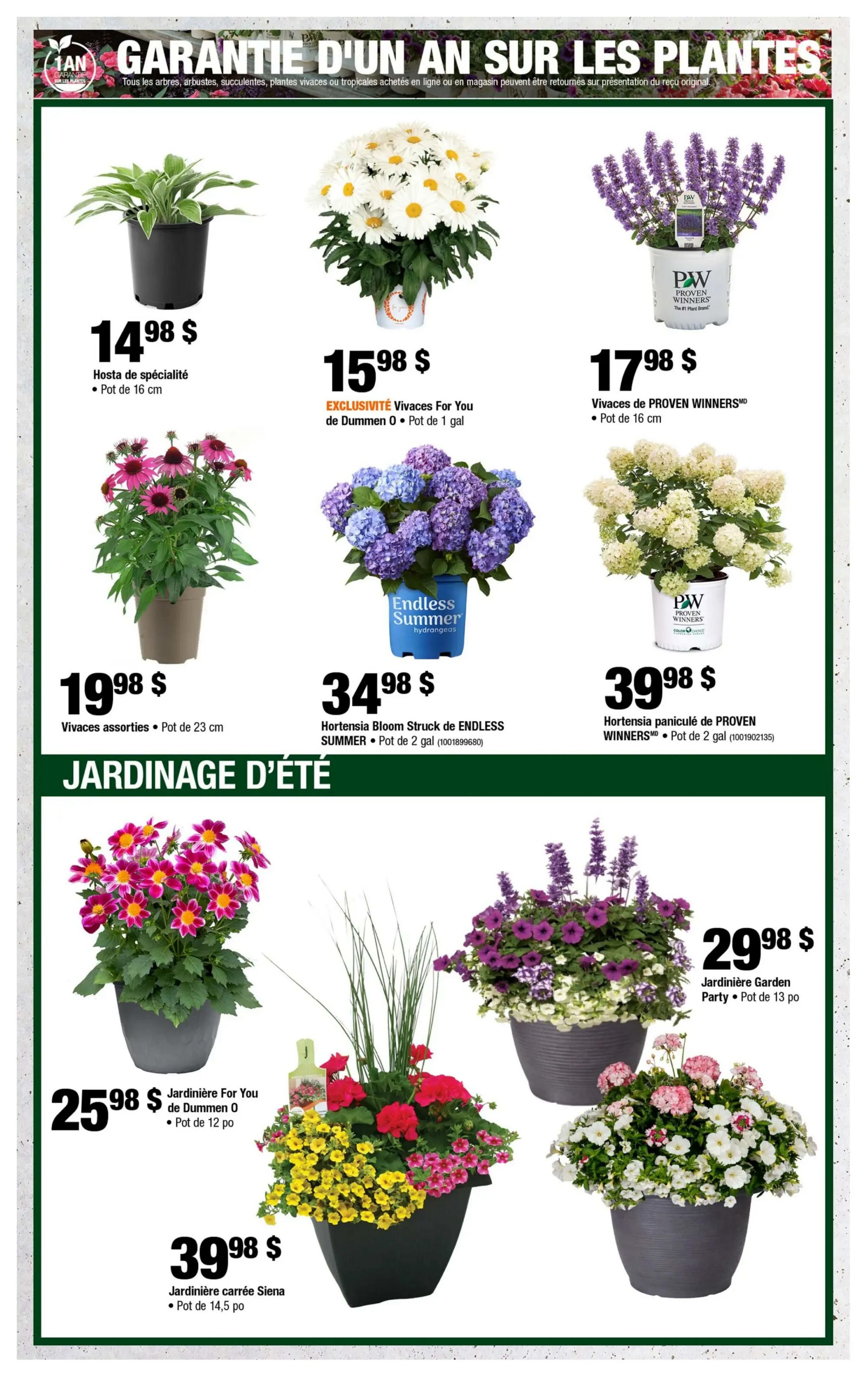 Home Depot (QC) Flyer June 25 to July 8