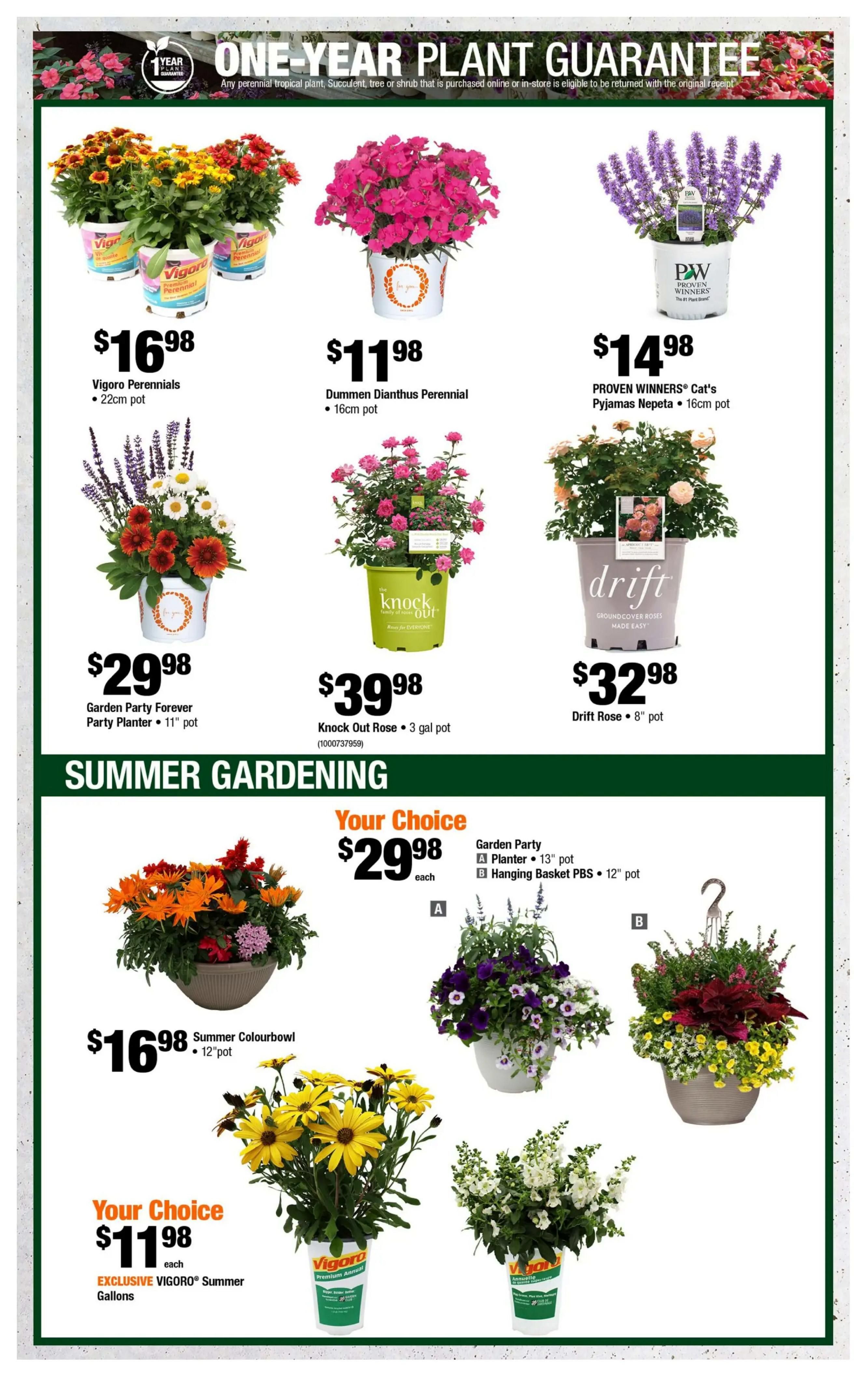 Home Depot (BC) Flyer June 25 to July 8