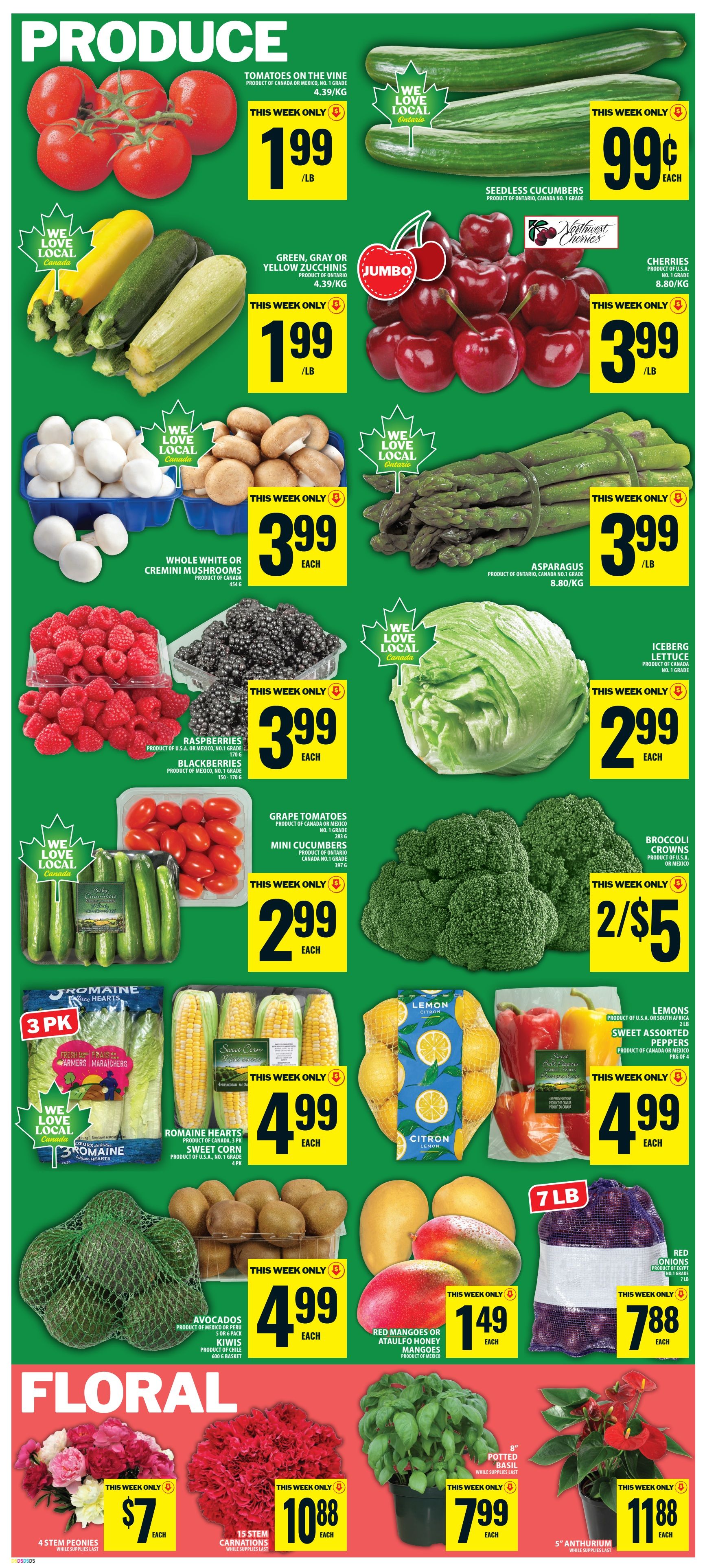Food Basics Flyer June 25 to July 1