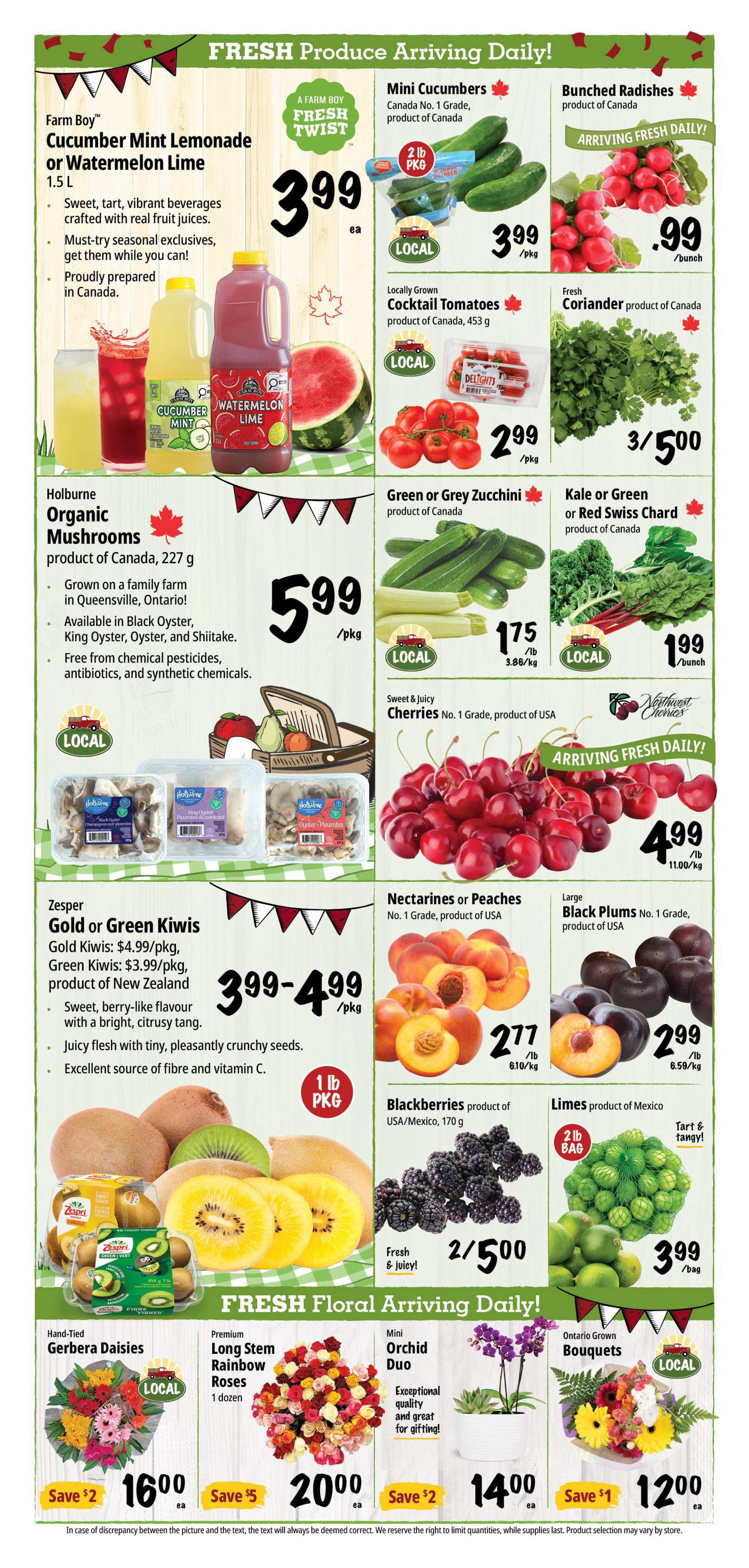 Farm Boy Flyer June 25 to July 1