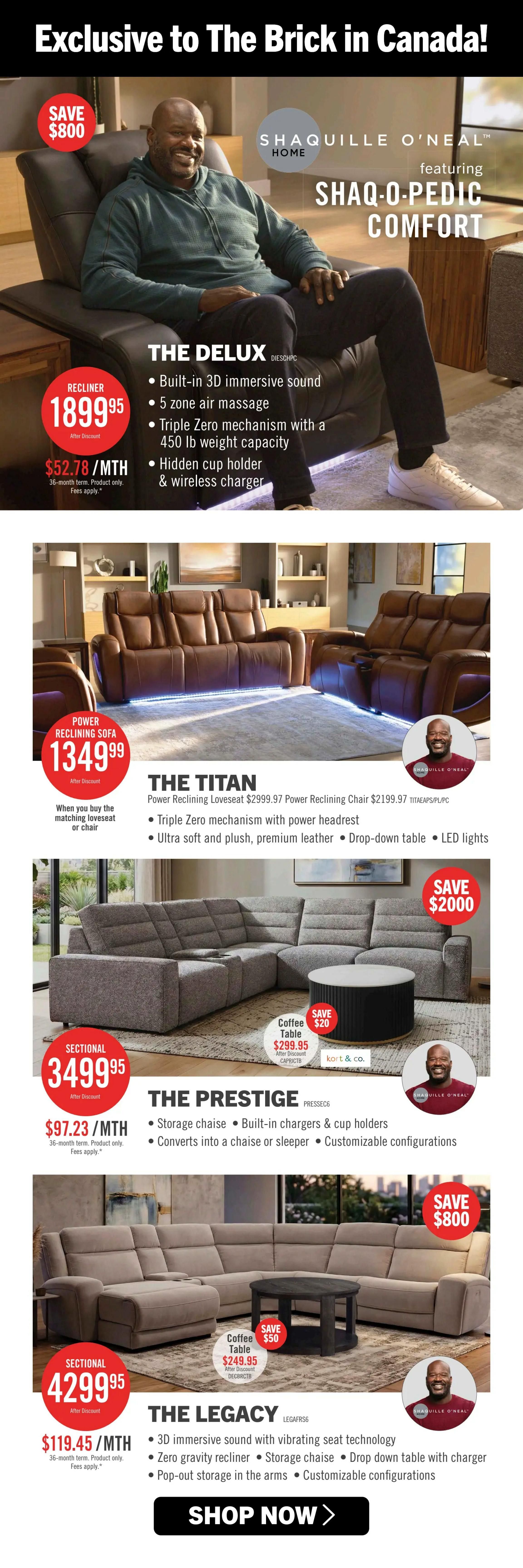 The Brick Flyer June 22 to July 8