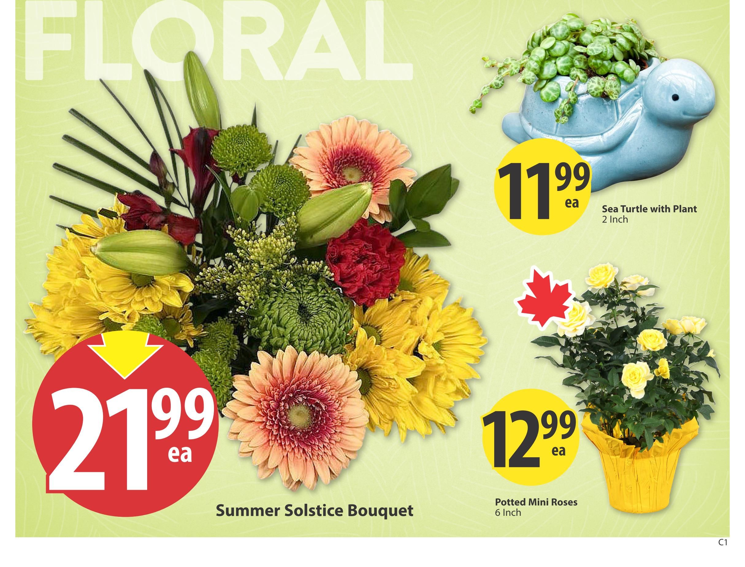 Save On Foods (SK) Flyer June 25 to July 1