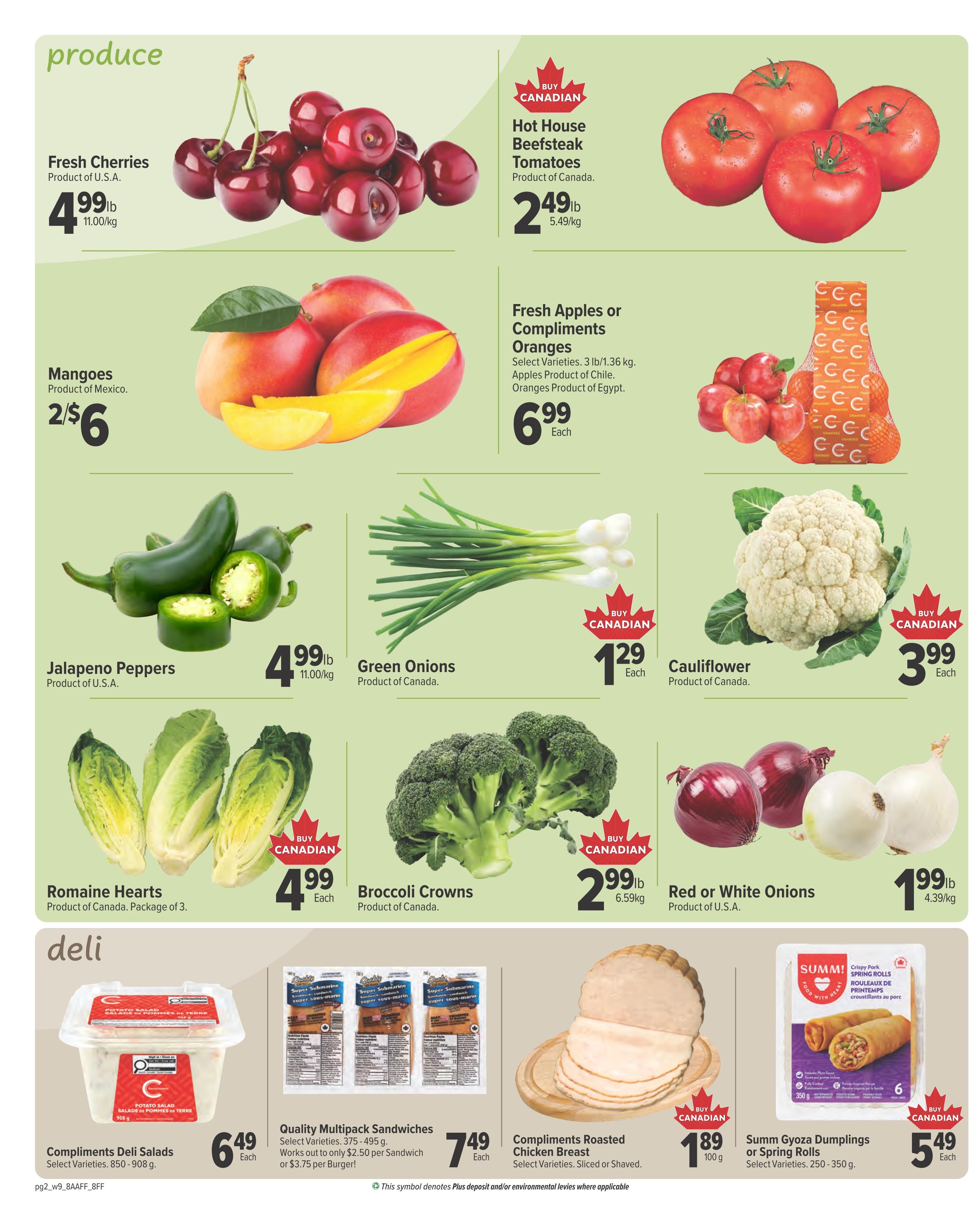 Family Foods Flyer June 25 to July 1