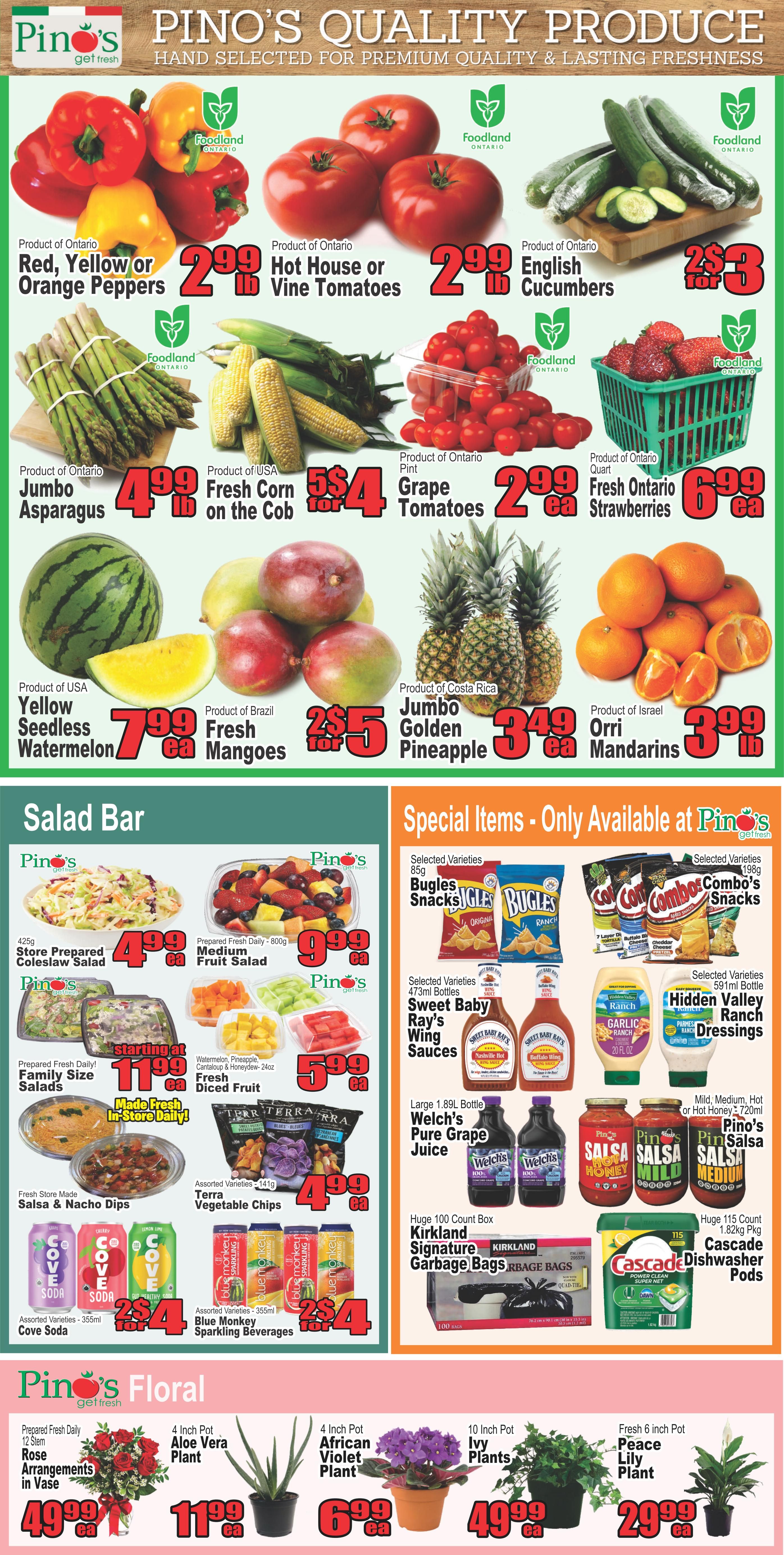 Pino's Flyer June 25 to 30