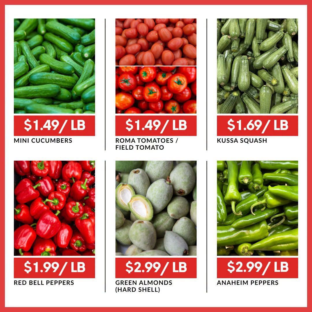 Basha Foods International Flyer June 25 to July 1