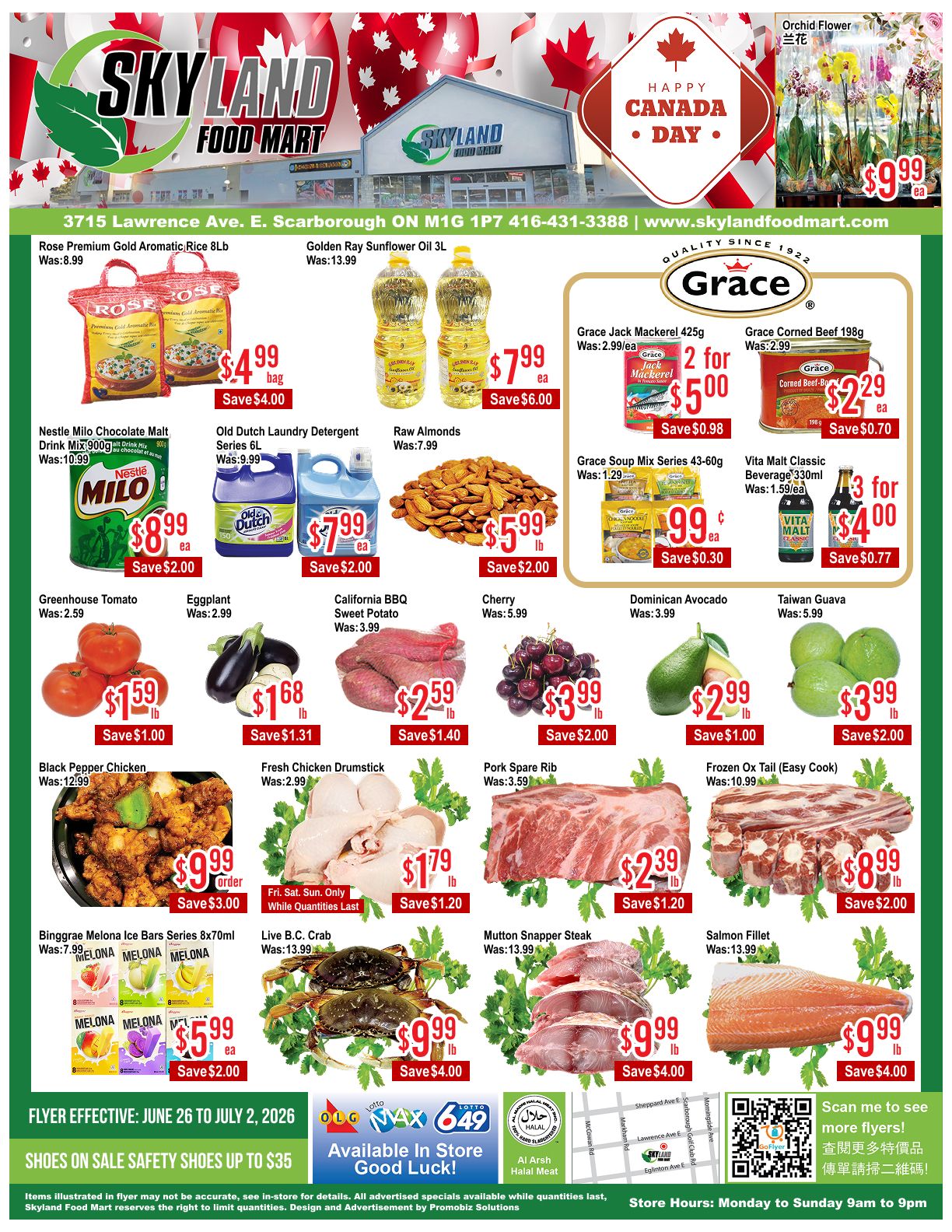 Skyland Food Mart Flyer June 26 to July 2