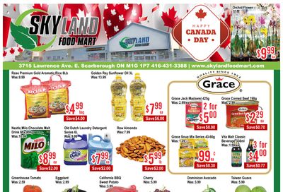 Skyland Food Mart Flyer June 26 to July 2