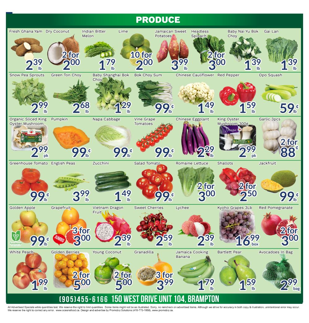 Oceans Fresh Food Market (Brampton) Flyer June 26 to July 2