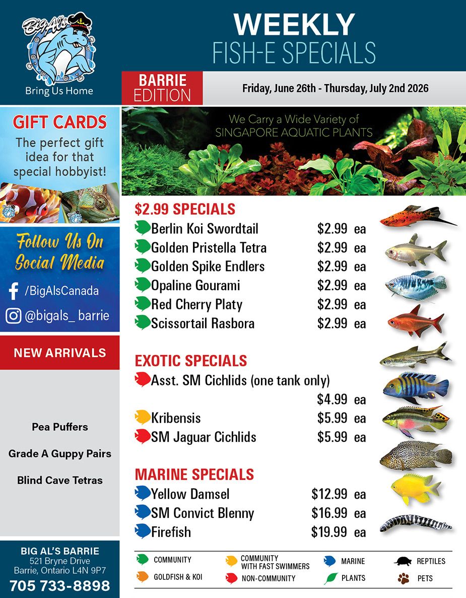 Big Al's (Barrie) Weekly Specials June 26 to July 2