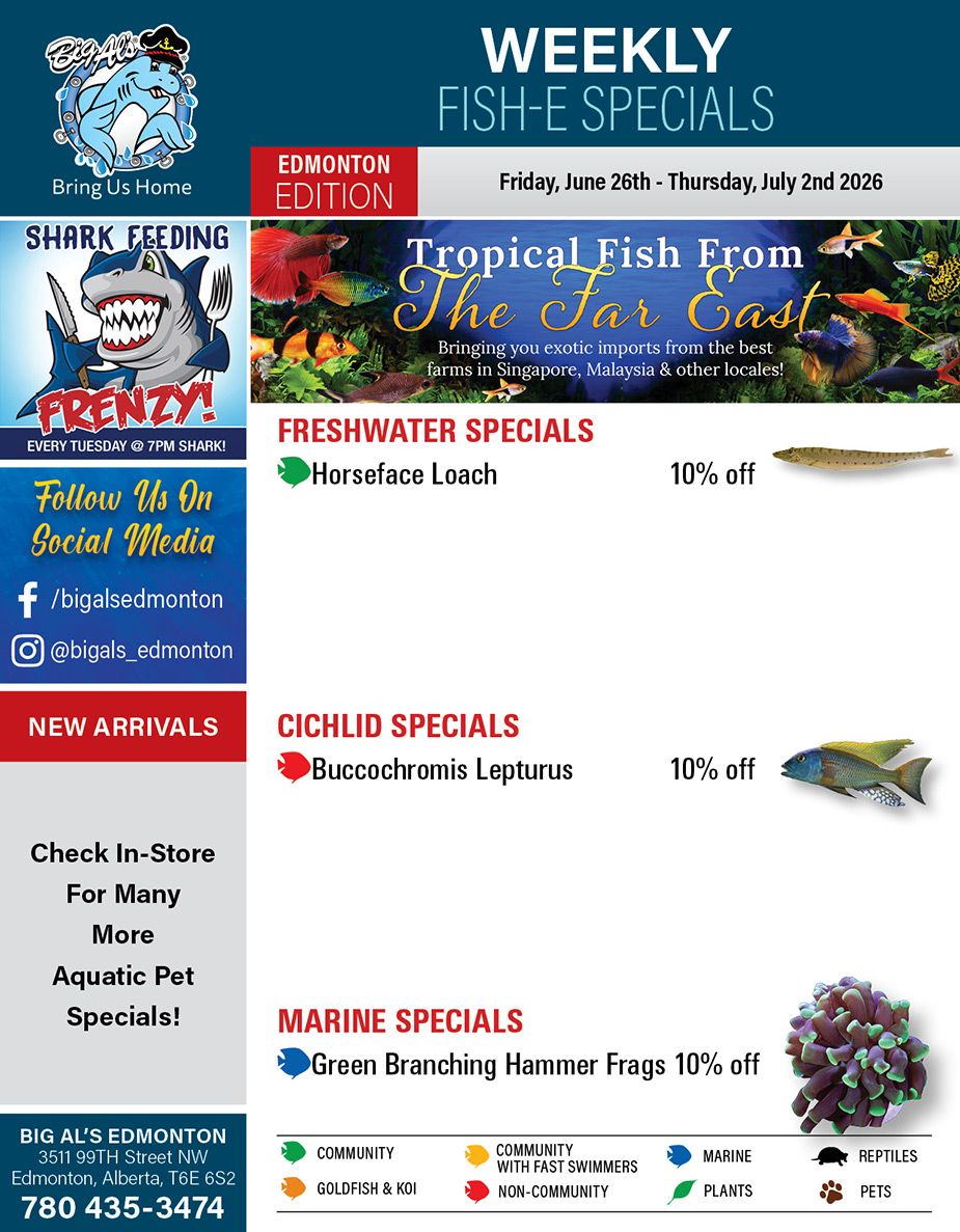 Big Al's (Edmonton) Weekly Specials June 26 to July 2