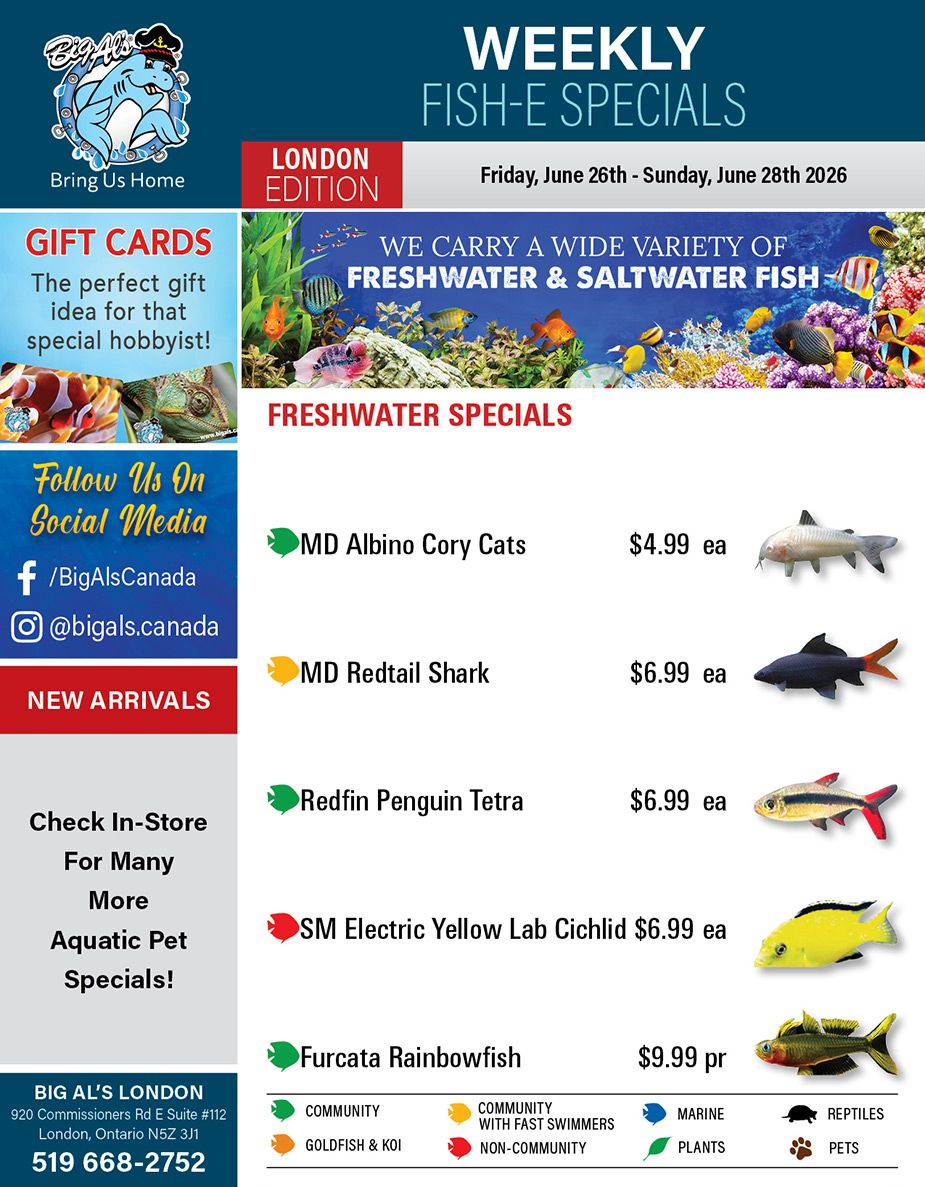 Big Al's (London) Weekend Specials June 26 to 28