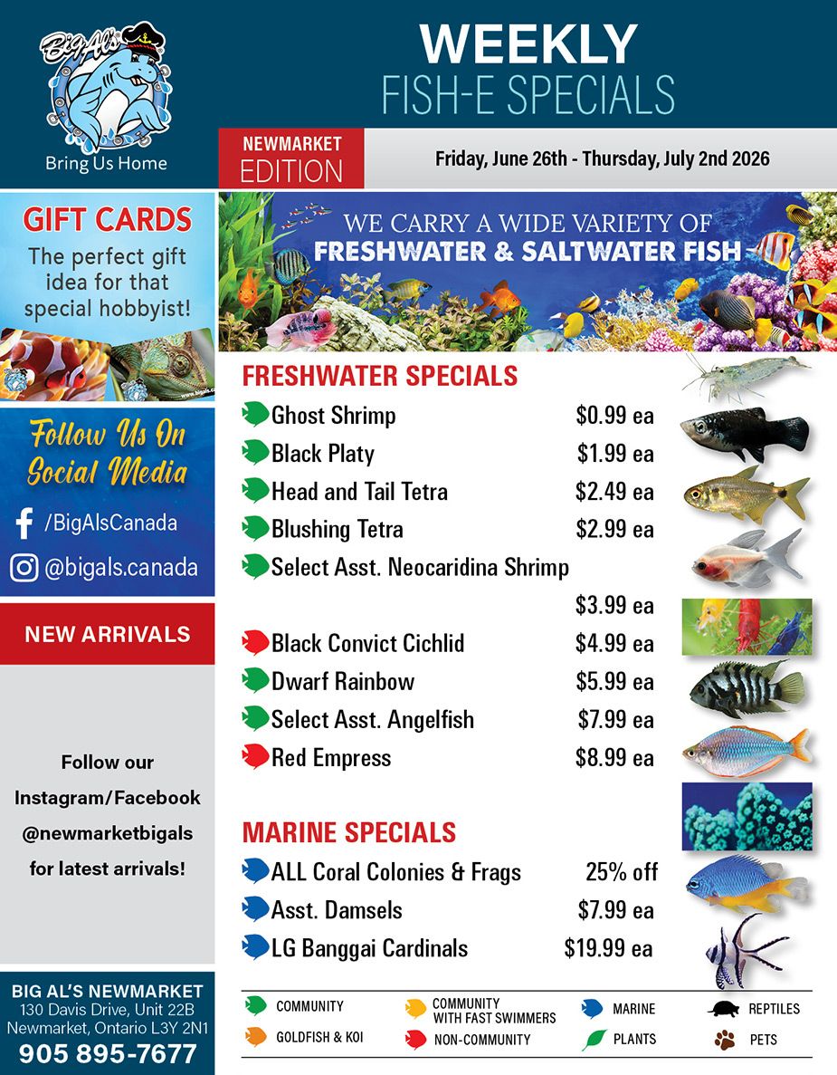 Big Al's (Newmarket) Weekly Specials June 26 to July 2
