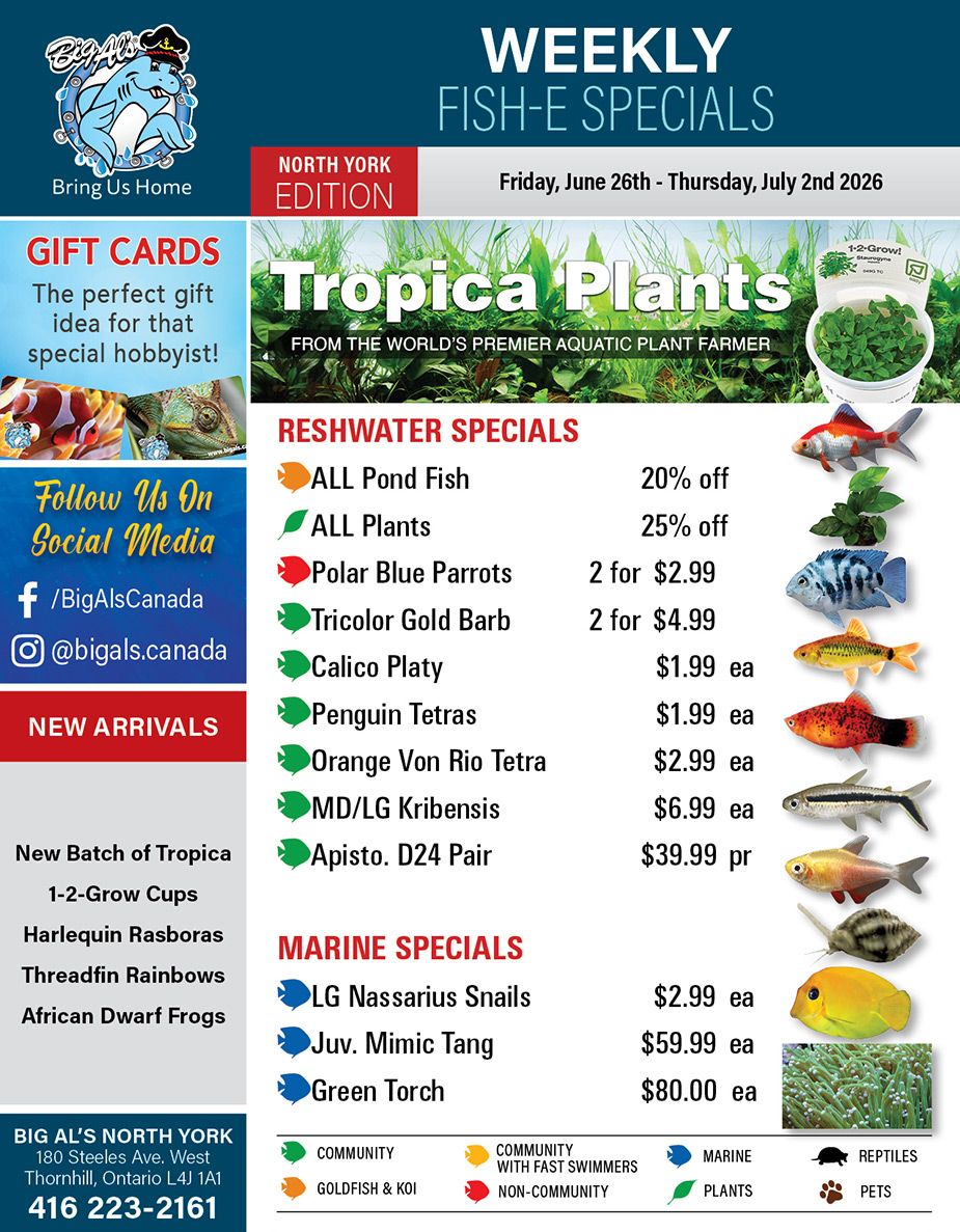 Big Al's (North York) Weekly Specials June 26 to July 2