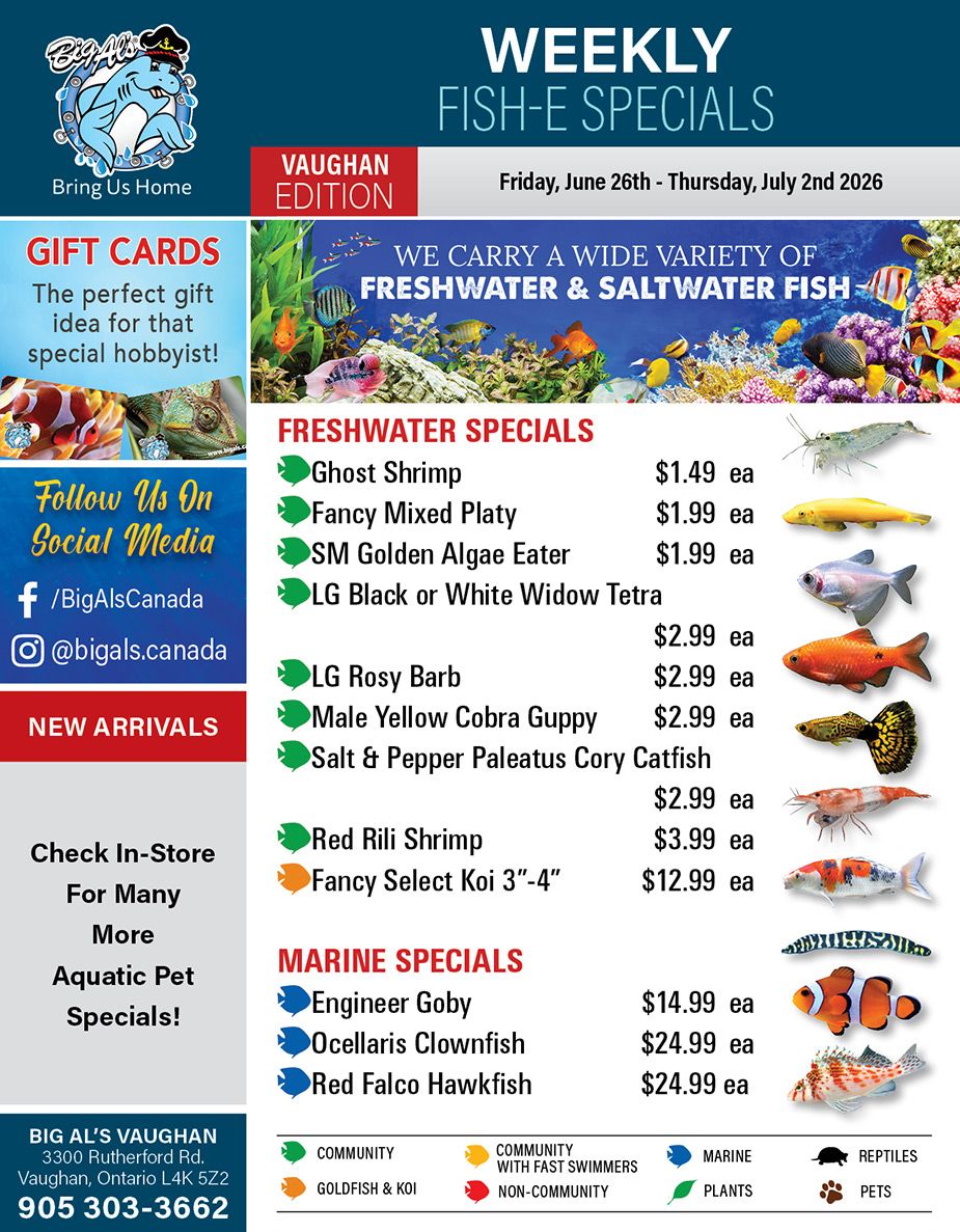 Big Al's (Vaughan) Weekly Specials June 26 to July 2