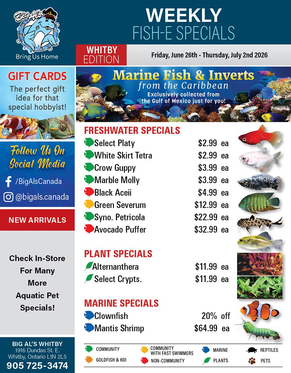 Big Al's (Whitby) Weekly Specials June 26 to July 2