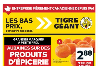 Tigre Géant Flyer July 1 to 7