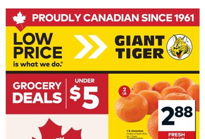 Giant Tiger (ON) Flyer July 1 to 7