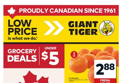 Giant Tiger (Atlantic) Flyer July 1 to 7