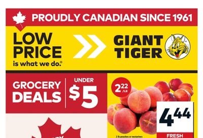 Giant Tiger (West) Flyer July 1 to 7