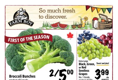 Farm Boy Flyer July 2 to 8