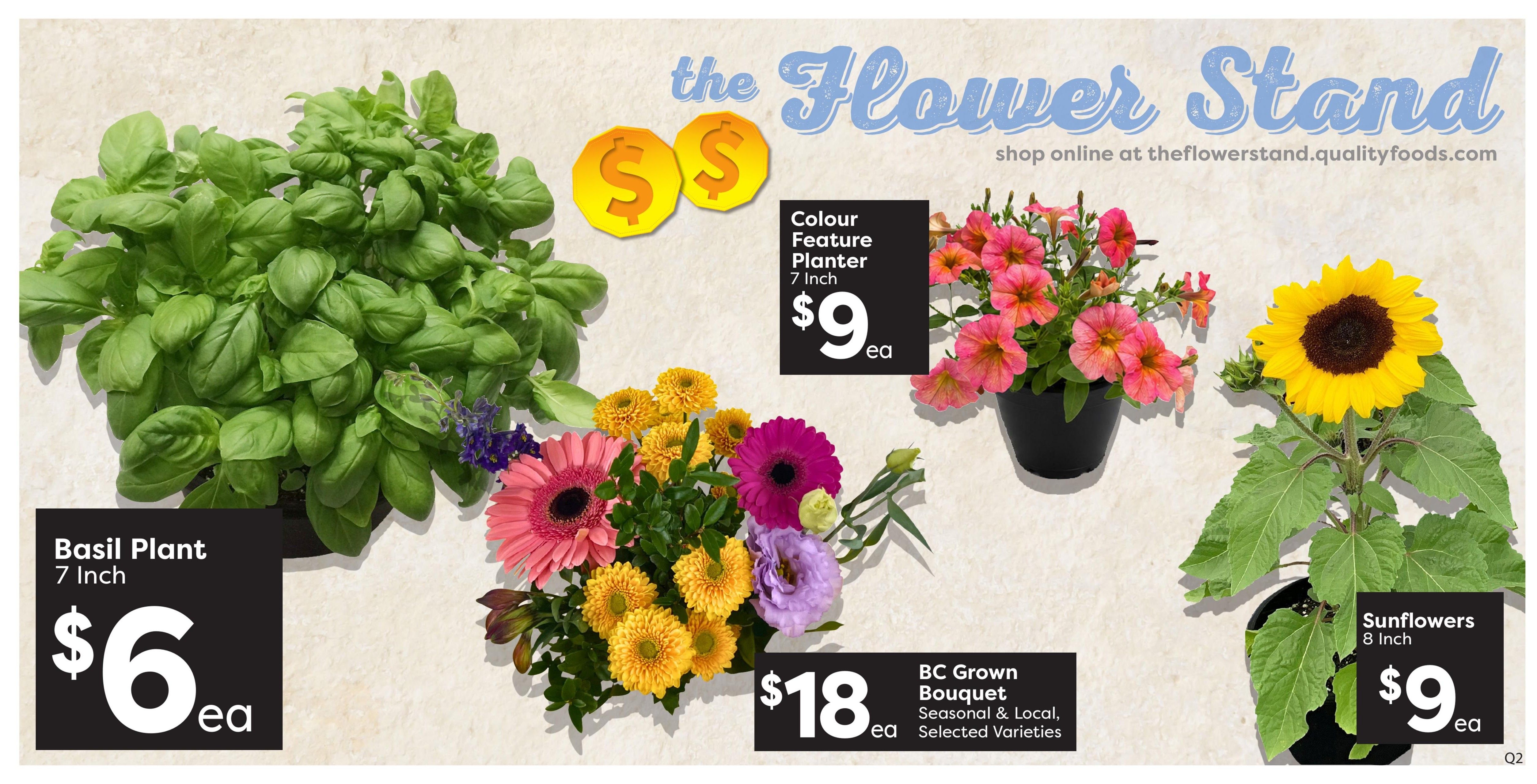 Quality Foods Flyer July 2 to 8